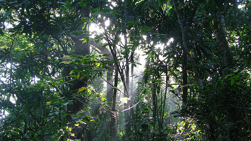 Soberanía National Park